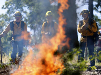 Firefighters monitor a controlled burn at the Pacific Union College Forest on May 15, 2025, in Angwin, California.